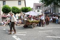 IMG_6113 (2) 